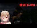 【三國無双４Special】沙霧が外伝モードをプレイするようです＃１２