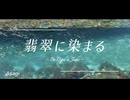 _Asagi - 翡翠に染まる (feat. 裏命)