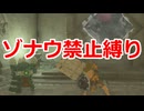 ゾナウ禁止縛りpart48【ティアキン/制限プレイ/ゼルダの伝説ティアーズオブザキングダム】