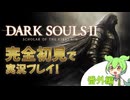 【ずんだもんが語る】12時間に及ぶ熔鉄デーモンとの激闘