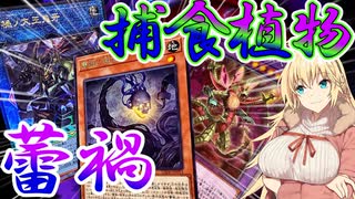 【遊戯王マスターデュエル】弦巻マキの《捕食植物×蕾禍》蕾禍のリンクで攻撃し捕食植物で妨害する【ボイスロイド＋ゆっくり実況】