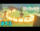 【ゆっくり実況】ティアキンぜんぶやる #13