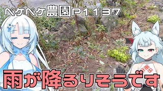 2024年10月3日　農作業日誌P1137　そろそろ花壇の雑草をむしらないと・・・