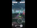 #ポケモンgo #gbl ガラルカップの日常！ ブラッキー ヨルノズク ヤミラミ vs シャドウキュウコン ハガネール ジャローダ #shorts #ガラルカップ #pokemon