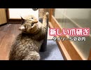 また爪研ぎ新調しました