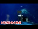 【8月32日の水族館】無限に続く水族館から脱出を目指す3D間違い探しゲームが面白すぎる件【3日目】