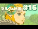 【ぽつぽつ実況 #15】泪【ティアーズオブザキングダム】