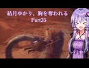【Dragon's Dogma2】結月ゆかり、胸を奪われる part35【A.I.VOICE】