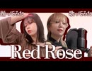 【#コンパス民監修】Red Rose 歌って踊ってみた【オリジナル振付】