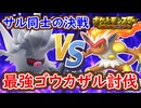 ポケモンSV サルvsサル 最強ゴウカザルをコノヨザルで討伐する！サルの頂上決戦が今ここに！ポケモンスカーレット＆バイオレット【ゆっくり解説】