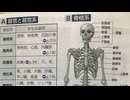 #1 器官と器官系