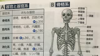 #1 器官と器官系
