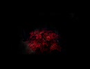 【 Dead by Daylight 】　消灯 モード　2024年9月17日（2）