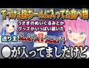 あまねちゃからうさぎのぬいぐるみとある食べ物が届いたルーナ姫【姫森ルーナ/天音かなた/ホロライブ切り抜き】