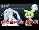 姉に会いたい雪さん