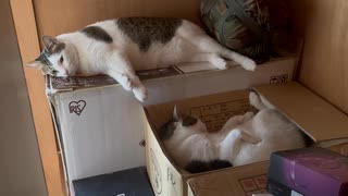 ドラえもん