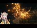 坩堝の騎士の武器と祈祷でカンスト世界を練り歩く！（影の地前編）【ELDENRING】