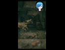 【#ELDENRING】あぶねぇ～【しゅたぽ日記】