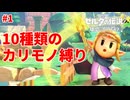 10種類のカリモノ縛り(おそらく必要最小限のカリモノ数) #1【ゼルダの伝説 知恵のかりもの】