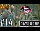 【ゆっくり実況プレイ】DaysGone 最高難易度縛りでゆっくりプレイ #14