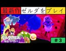 【新作】ゼルダの伝説 知恵のかりもの #３【広島】