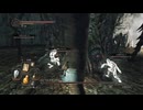 フレイディアNPCのみ