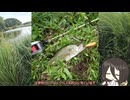 新しく買ったロッドとリールでバスを釣る中国うさぎ【VOICEROIDフィッシング】四国めたんと中国うさぎ