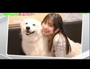 美少女モフモフ天国バスツアー