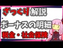 ボーナス（賞与）の給与明細【ざっくり解説】