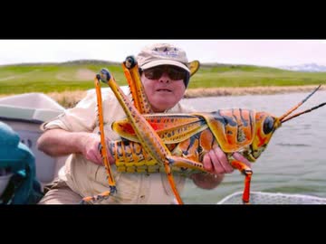 ホモと見るめちゃくちゃでかいバッタを釣り上げたおっさん