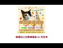 保護ねこの家譲渡会 in 天王寺