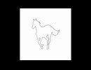 White Pony