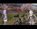 【自転車車載】あかりちゃんを桜のAACRに連れ出しました 26回目