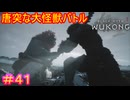 【黒神話：悟空#41】……それがお前か、二郎真君。思っていたより……醜いな※２周目【Black Myth: Wukong】