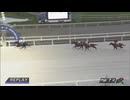 2024年9月11日門別競馬7R ＪＲＡ認定ウィナーズチャレンジ５ レース回顧
