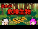 【VOICEROID解説】ゆかり先輩と見る危険生物【淡水編⑦】