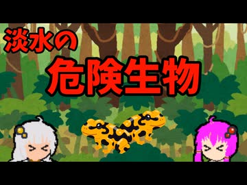 【VOICEROID解説】ゆかり先輩と見る危険生物【淡水編⑦】