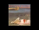 Matthew Wilder - Break My Stride (Special Extended Remix)