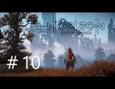Horizon Zero Dawn（ホライゾンゼロドーン）【初見実況】＃10