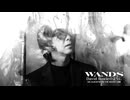 WANDS 「David Bowieのように」