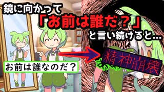 【ゲシュタルト崩壊】鏡と喋ると精神が崩壊する都市伝説は本当なのか【ずんだもん心理学】