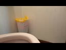 lv3459291101 トイレ掃除配信