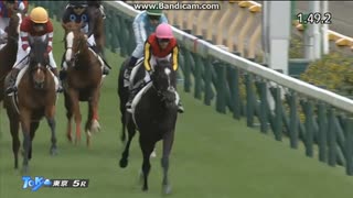 ガルダイア　2歳新馬