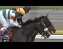 2024 毎日王冠 (GⅡ)　シックスペンス
