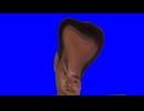 ベガパンク先輩