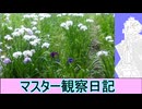 心筋梗塞マスター観察日記 24_06月~10月06日