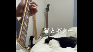 猫とギター　寄せ集め2
