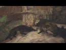 【リョナ / ryona】ドラゴンズドグマ２ Dragon's Dogma II 主人公 Protagonist その２