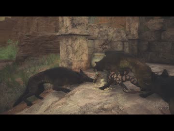 【リョナ / ryona】ドラゴンズドグマ２ Dragon's Dogma II 主人公 Protagonist その２