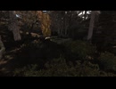 【S.T.A.L.K.E.R. 】amb02 AKA Red Forest